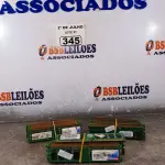 LOTE 345 - 01 LOTE COM VÁRIAS MEMORIAS PARA PC MARCAS E MODELOS DIVERSOS. (NO ESTADO, LEILÃO NÃO TEM GARANTIA E NEM DEVOLUÇÃO, SUJEITO A POSSÍVEIS AVARIAS VISÍVEIS/OCULTAS E/OU AUSÊNCIA DE COMPONENTES).