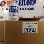 LOTE 324 - 02 CAIXAS COM BISNAGAS DE ÁLCOOL EM GEL 70% COM HIDRATANTE 440G COM 12 UNIDADES CADA. (NO ESTADO, LEILÃO NÃO TEM GARANTIA E NEM DEVOLUÇÃO, SUJEITO A POSSÍVEIS AVARIAS VISÍVEIS/OCULTAS E/OU AUSÊNCIA DE COMPONENTES).