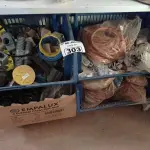 LOTE 303 - 01 LOTE COM MATERIAIS DIVERSOS. (NO ESTADO, LEILÃO NÃO TEM GARANTIA E NEM DEVOLUÇÃO, SUJEITO A POSSÍVEIS AVARIAS VISÍVEIS/OCULTAS E/OU AUSÊNCIA DE COMPONENTES).