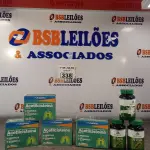 LOTE 338 - 04 CAIXAS DE ACETILCISTEINA 600MG E 03 FRASCOS DE 30 ERVAS BIO&FLORA 500MG COM 60 CAPSULAS CADA.  (NO ESTADO, LEILÃO NÃO TEM GARANTIA E NEM DEVOLUÇÃO, SUJEITO A POSSÍVEIS AVARIAS VISÍVEIS/OCULTAS E/OU AUSÊNCIA DE COMPONENTES).