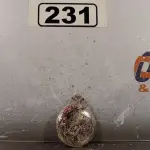LOTE 231 - 01 RELÓGIO DE BOLSO. (NO ESTADO, LEILÃO NÃO TEM GARANTIA E NEM DEVOLUÇÃO, SUJEITO A POSSÍVEIS AVARIAS VISÍVEIS/OCULTAS E/OU AUSÊNCIA DE COMPONENTES).