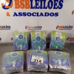 LOTE 314 - 06 PACOTES DE LUVAS DE LÁTEX SILVER TAMANHO “P”. (NO ESTADO, LEILÃO NÃO TEM GARANTIA E NEM DEVOLUÇÃO, SUJEITO A POSSÍVEIS AVARIAS VISÍVEIS/OCULTAS E/OU AUSÊNCIA DE COMPONENTES).