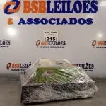 LOTE 215 - 01 DVR, 03 CÂMERAS DE SEGURANÇA E 01 FONTE. (NO ESTADO, LEILÃO NÃO TEM GARANTIA E NEM DEVOLUÇÃO, SUJEITO A POSSÍVEIS AVARIAS VISÍVEIS/OCULTAS E/OU AUSÊNCIA DE COMPONENTES).