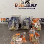 LOTE 295 - 01 LOTE COM VÁRIOS REGISTROS MARCAS E MODELOS DIVERSOS. (NO ESTADO, LEILÃO NÃO TEM GARANTIA E NEM DEVOLUÇÃO, SUJEITO A POSSÍVEIS AVARIAS VISÍVEIS/OCULTAS E/OU AUSÊNCIA DE COMPONENTES).