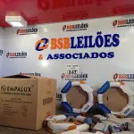 LOTE 247 - 10 LÂMPADAS FLUORESCENTES CIRCULARES 6.400K 22W COM 10 REATORES. (NO ESTADO, LEILÃO NÃO TEM GARANTIA E NEM DEVOLUÇÃO, SUJEITO A POSSÍVEIS AVARIAS VISÍVEIS/OCULTAS E/OU AUSÊNCIA DE COMPONENTES).