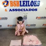 LOTE 097 - 01 BONECA BEBE REBORN. (NO ESTADO, LEILÃO NÃO TEM GARANTIA E NEM DEVOLUÇÃO, SUJEITO A POSSÍVEIS AVARIAS VISÍVEIS/OCULTAS E/OU AUSÊNCIA DE COMPONENTES).