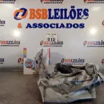 LOTE 033 - 01 BOIA INFANTIL MODELO GOLFINHO. (NO ESTADO, LEILÃO NÃO TEM GARANTIA E NEM DEVOLUÇÃO, SUJEITO A POSSÍVEIS AVARIAS VISÍVEIS/OCULTAS E/OU AUSÊNCIA DE COMPONENTES).