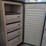 LOTE 137 - 01 FREEZER VERTICAL MARCA PROSDÓCIMO 220V. (NO ESTADO, LEILÃO NÃO TEM GARANTIA E NEM DEVOLUÇÃO, SUJEITO A POSSÍVEIS AVARIAS VISÍVEIS/OCULTAS E/OU AUSÊNCIA DE COMPONENTES).
