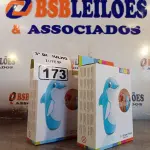 LOTE 173 - 02 BONECOS JOÃO TEIMOSO GOLFINHO.  (NO ESTADO, LEILÃO NÃO TEM GARANTIA E NEM DEVOLUÇÃO, SUJEITO A POSSÍVEIS AVARIAS VISÍVEIS/OCULTAS E/OU AUSÊNCIA DE COMPONENTES).