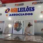 LOTE 052 - 06 QUADROS DECORATIVOS DIVERSOS. (NO ESTADO, LEILÃO NÃO TEM GARANTIA E NEM DEVOLUÇÃO, SUJEITO A POSSÍVEIS AVARIAS VISÍVEIS/OCULTAS E/OU AUSÊNCIA DE COMPONENTES).