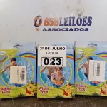 LOTE 023 - 03 BOIAS INFANTIS. (NO ESTADO, LEILÃO NÃO TEM GARANTIA E NEM DEVOLUÇÃO, SUJEITO A POSSÍVEIS AVARIAS VISÍVEIS/OCULTAS E/OU AUSÊNCIA DE COMPONENTES).