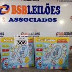 LOTE 306 - 02 ALFABETOS DA GALINHA PINTADINHA. (NO ESTADO, LEILÃO NÃO TEM GARANTIA E NEM DEVOLUÇÃO, SUJEITO A POSSÍVEIS AVARIAS VISÍVEIS/OCULTAS E/OU AUSÊNCIA DE COMPONENTES).