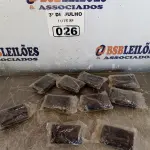 LOTE 026 - 10 KITS DE PONTEIRAS PARA PARAFUSADEIRA. (NO ESTADO, LEILÃO NÃO TEM GARANTIA E NEM DEVOLUÇÃO, SUJEITO A POSSÍVEIS AVARIAS VISÍVEIS/OCULTAS E/OU AUSÊNCIA DE COMPONENTES).