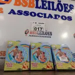 LOTE 017 - 03 BOIAS INFANTIS. (NO ESTADO, LEILÃO NÃO TEM GARANTIA E NEM DEVOLUÇÃO, SUJEITO A POSSÍVEIS AVARIAS VISÍVEIS/OCULTAS E/OU AUSÊNCIA DE COMPONENTES).