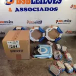 LOTE 251 - 10 LÂMPADAS FLUORESCENTES CIRCULARES 6.400K 22W COM 10 REATORES. (NO ESTADO, LEILÃO NÃO TEM GARANTIA E NEM DEVOLUÇÃO, SUJEITO A POSSÍVEIS AVARIAS VISÍVEIS/OCULTAS E/OU AUSÊNCIA DE COMPONENTES).