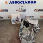 LOTE 033 - 01 BOIA INFANTIL MODELO GOLFINHO. (NO ESTADO, LEILÃO NÃO TEM GARANTIA E NEM DEVOLUÇÃO, SUJEITO A POSSÍVEIS AVARIAS VISÍVEIS/OCULTAS E/OU AUSÊNCIA DE COMPONENTES).