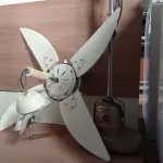 LOTE 202 - 01 ENCERADEIRA E 01 VENTILADOR DE TETO. (NO ESTADO, LEILÃO NÃO TEM GARANTIA E NEM DEVOLUÇÃO, SUJEITO A POSSÍVEIS AVARIAS VISÍVEIS/OCULTAS E/OU AUSÊNCIA DE COMPONENTES).