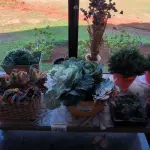 LOTE 240 - VASOS, FLOREIRAS E FLORES ARTIFICIAIS. (NO ESTADO, NÃO SABEMOS SE FUNCIONA. LEILÃO NÃO TEM GARANTIA E NEM DEVOLUÇÃO).