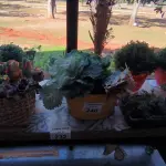 LOTE 240 - VASOS, FLOREIRAS E FLORES ARTIFICIAIS. (NO ESTADO, NÃO SABEMOS SE FUNCIONA. LEILÃO NÃO TEM GARANTIA E NEM DEVOLUÇÃO).