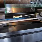 LOTE 203 - PÁS PARA PIZZA DIVERSAS. (NO ESTADO, NÃO SABEMOS SE FUNCIONA. LEILÃO NÃO TEM GARANTIA E NEM DEVOLUÇÃO).
