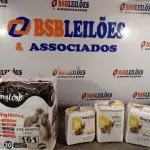 LOTE 161 - 01 TAPETE HIGIÊNICO PARA PET COM 30 UNIDADES E 02 PACOTES DE ABSORVENTES TAMANHO M COM 06 UNIDADES CADA PACOTE. (NOVO) (NO ESTADO) ATENÇÃO! FAZER A VISITAÇÃO ANTES DE ARREMATAR, NÃO SABEMOS SE FUNCIONA. LEILÃO NÃO TEM GARANTIA E NEM DEVOLUÇÃO, SUJEITO A POSSÍVEIS AVARIAS VISÍVEIS/OCULTAS E/OU AUSÊNCIA DE COMPONENTES.