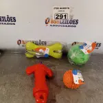 LOTE 291 - 01 LOTE COM VÁRIOS BRINQUEDOS PARA PET TAMANHO G. (NOVO) (NO ESTADO) ATENÇÃO! FAZER A VISITAÇÃO ANTES DE ARREMATAR, NÃO SABEMOS SE FUNCIONA. LEILÃO NÃO TEM GARANTIA E NEM DEVOLUÇÃO, SUJEITO A POSSÍVEIS AVARIAS VISÍVEIS/OCULTAS E/OU AUSÊNCIA DE COMPONENTES.