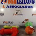 LOTE 291 - 01 LOTE COM VÁRIOS BRINQUEDOS PARA PET TAMANHO G. (NOVO) (NO ESTADO) ATENÇÃO! FAZER A VISITAÇÃO ANTES DE ARREMATAR, NÃO SABEMOS SE FUNCIONA. LEILÃO NÃO TEM GARANTIA E NEM DEVOLUÇÃO, SUJEITO A POSSÍVEIS AVARIAS VISÍVEIS/OCULTAS E/OU AUSÊNCIA DE COMPONENTES.