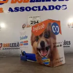 LOTE 294 - 01 TAPETE GELADO PARA REFRESCÂNCIA DE PET 50X65CM. (NOVO) (NO ESTADO) ATENÇÃO! FAZER A VISITAÇÃO ANTES DE ARREMATAR, NÃO SABEMOS SE FUNCIONA. LEILÃO NÃO TEM GARANTIA E NEM DEVOLUÇÃO, SUJEITO A POSSÍVEIS AVARIAS VISÍVEIS/OCULTAS E/OU AUSÊNCIA DE COMPONENTES.