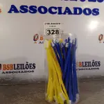 LOTE 328 - 01 LOTE COM VÁRIAS ESCOVAS DENTAL DUPLA PARA PET.(NOVA) (NO ESTADO) ATENÇÃO! FAZER A VISITAÇÃO ANTES DE ARREMATAR, NÃO SABEMOS SE FUNCIONA. LEILÃO NÃO TEM GARANTIA E NEM DEVOLUÇÃO, SUJEITO A POSSÍVEIS AVARIAS VISÍVEIS/OCULTAS E/OU AUSÊNCIA DE COMPONENTES.