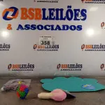 LOTE 358 - 01 LOTE COM VÁRIOS BRINQUEDOS PARA CACHORROS E GATOS COM 05 COLEIRAS AJUSTÁVEIS. (NOVO) (NO ESTADO) ATENÇÃO! FAZER A VISITAÇÃO ANTES DE ARREMATAR, NÃO SABEMOS SE FUNCIONA. LEILÃO NÃO TEM GARANTIA E NEM DEVOLUÇÃO, SUJEITO A POSSÍVEIS AVARIAS VISÍVEIS/OCULTAS E/OU AUSÊNCIA DE COMPONENTES.