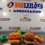 LOTE 297 - 01 LOTE COM VÁRIOS BRINQUEDOS PARA PET. (NOVO) (NO ESTADO) ATENÇÃO! FAZER A VISITAÇÃO ANTES DE ARREMATAR, NÃO SABEMOS SE FUNCIONA. LEILÃO NÃO TEM GARANTIA E NEM DEVOLUÇÃO, SUJEITO A POSSÍVEIS AVARIAS VISÍVEIS/OCULTAS E/OU AUSÊNCIA DE COMPONENTES.