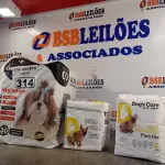 LOTE 314 - 01 TAPETE HIGIÊNICO PARA PET COM 30 UNIDADES E 02 PACOTES DE ABSORVENTES TAMANHO M E G COM 06 UNIDADES CADA PACOTE. (NOVO) (NO ESTADO) ATENÇÃO! FAZER A VISITAÇÃO ANTES DE ARREMATAR, NÃO SABEMOS SE FUNCIONA. LEILÃO NÃO TEM GARANTIA E NEM DEVOLUÇÃO, SUJEITO A POSSÍVEIS AVARIAS VISÍVEIS/OCULTAS E/OU AUSÊNCIA DE COMPONENTES.