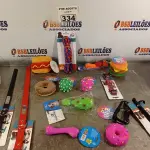 LOTE 334 - 01 LOTE COM VÁRIOS BRINQUEDOS PARA PET. (NOVO) (NO ESTADO) ATENÇÃO! FAZER A VISITAÇÃO ANTES DE ARREMATAR, NÃO SABEMOS SE FUNCIONA. LEILÃO NÃO TEM GARANTIA E NEM DEVOLUÇÃO, SUJEITO A POSSÍVEIS AVARIAS VISÍVEIS/OCULTAS E/OU AUSÊNCIA DE COMPONENTES.