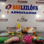 LOTE 339 - 01 LOTE COM VÁRIOS BRINQUEDOS PARA PET. (NOVO) (NO ESTADO) ATENÇÃO! FAZER A VISITAÇÃO ANTES DE ARREMATAR, NÃO SABEMOS SE FUNCIONA. LEILÃO NÃO TEM GARANTIA E NEM DEVOLUÇÃO, SUJEITO A POSSÍVEIS AVARIAS VISÍVEIS/OCULTAS E/OU AUSÊNCIA DE COMPONENTES.