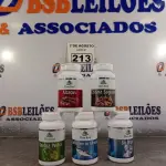 LOTE 213 - 05 SUPLEMENTOS FLORA REAL. (NOVO) (NO ESTADO) ATENÇÃO! FAZER A VISITAÇÃO ANTES DE ARREMATAR, NÃO SABEMOS SE FUNCIONA. LEILÃO NÃO TEM GARANTIA E NEM DEVOLUÇÃO, SUJEITO A POSSÍVEIS AVARIAS VISÍVEIS/OCULTAS E/OU AUSÊNCIA DE COMPONENTES.