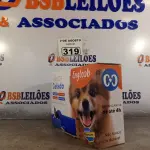 LOTE 319 - 01 TAPETE GELADO PARA REFRESCÂNCIA DE PET 50X65CM. (NOVO) (NO ESTADO) ATENÇÃO! FAZER A VISITAÇÃO ANTES DE ARREMATAR, NÃO SABEMOS SE FUNCIONA. LEILÃO NÃO TEM GARANTIA E NEM DEVOLUÇÃO, SUJEITO A POSSÍVEIS AVARIAS VISÍVEIS/OCULTAS E/OU AUSÊNCIA DE COMPONENTES.