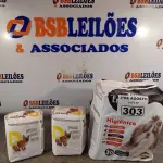 LOTE 303 - 01 TAPETE HIGIÊNICO PARA PET COM 30 UNIDADES E 02 PACOTES DE ABSORVENTES TAMANHO GG COM 06 UNIDADES CADA PACOTE. (NOVO) (NO ESTADO) ATENÇÃO! FAZER A VISITAÇÃO ANTES DE ARREMATAR, NÃO SABEMOS SE FUNCIONA. LEILÃO NÃO TEM GARANTIA E NEM DEVOLUÇÃO, SUJEITO A POSSÍVEIS AVARIAS VISÍVEIS/OCULTAS E/OU AUSÊNCIA DE COMPONENTES.