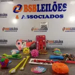 LOTE 292 - 01 LOTE COM VÁRIOS BRINQUEDOS PARA PET. (NOVO) (NO ESTADO) ATENÇÃO! FAZER A VISITAÇÃO ANTES DE ARREMATAR, NÃO SABEMOS SE FUNCIONA. LEILÃO NÃO TEM GARANTIA E NEM DEVOLUÇÃO, SUJEITO A POSSÍVEIS AVARIAS VISÍVEIS/OCULTAS E/OU AUSÊNCIA DE COMPONENTES.