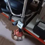 LOTE 331 - 01 ROÇADEIRA A GASOLINA COM AVARIAS. (NO ESTADO) ATENÇÃO! FAZER A VISITAÇÃO ANTES DE ARREMATAR, NÃO SABEMOS SE FUNCIONA. LEILÃO NÃO TEM GARANTIA E NEM DEVOLUÇÃO, SUJEITO A POSSÍVEIS AVARIAS VISÍVEIS/OCULTAS E/OU AUSÊNCIA DE COMPONENTES.