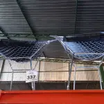 LOTE 337 - 02 CADEIRAS. (NO ESTADO) ATENÇÃO! FAZER A VISITAÇÃO ANTES DE ARREMATAR, NÃO SABEMOS SE FUNCIONA. LEILÃO NÃO TEM GARANTIA E NEM DEVOLUÇÃO, SUJEITO A POSSÍVEIS AVARIAS VISÍVEIS/OCULTAS E/OU AUSÊNCIA DE COMPONENTES.