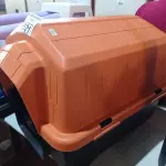LOTE 521 - 01 CASINHA PARA PET COM COLCHÃO, 01 COMEDOURO, 01 BEBEDOURO E 01 KIT DE BRINQUEDOS. (NOVO) (NO ESTADO) ATENÇÃO! FAZER A VISITAÇÃO ANTES DE ARREMATAR, NÃO SABEMOS SE FUNCIONA. LEILÃO NÃO TEM GARANTIA E NEM DEVOLUÇÃO, SUJEITO A POSSÍVEIS AVARIAS VISÍVEIS/OCULTAS E/OU AUSÊNCIA DE COMPONENTES).
