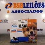 LOTE 550 - 01 TAPETE GELADO PARA REFRESCÂNCIA DE PET 50X90CM. (NOVO) (NO ESTADO) ATENÇÃO! FAZER A VISITAÇÃO ANTES DE ARREMATAR, NÃO SABEMOS SE FUNCIONA. LEILÃO NÃO TEM GARANTIA E NEM DEVOLUÇÃO, SUJEITO A POSSÍVEIS AVARIAS VISÍVEIS/OCULTAS E/OU AUSÊNCIA DE COMPONENTES.