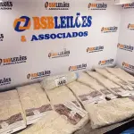 LOTE 480 - 10 MOP PARA PÓ MODELOS DIVERSOS. (NO ESTADO) ATENÇÃO! FAZER A VISITAÇÃO ANTES DE ARREMATAR, NÃO SABEMOS SE FUNCIONA. LEILÃO NÃO TEM GARANTIA E NEM DEVOLUÇÃO, SUJEITO A POSSÍVEIS AVARIAS VISÍVEIS/OCULTAS E/OU AUSÊNCIA DE COMPONENTES).