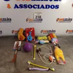 LOTE 318 - 01 LOTE COM VÁRIOS BRINQUEDOS PARA PET. (NOVO) (NO ESTADO) ATENÇÃO! FAZER A VISITAÇÃO ANTES DE ARREMATAR, NÃO SABEMOS SE FUNCIONA. LEILÃO NÃO TEM GARANTIA E NEM DEVOLUÇÃO, SUJEITO A POSSÍVEIS AVARIAS VISÍVEIS/OCULTAS E/OU AUSÊNCIA DE COMPONENTES.