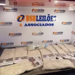 LOTE 480 - 10 MOP PARA PÓ MODELOS DIVERSOS. (NO ESTADO) ATENÇÃO! FAZER A VISITAÇÃO ANTES DE ARREMATAR, NÃO SABEMOS SE FUNCIONA. LEILÃO NÃO TEM GARANTIA E NEM DEVOLUÇÃO, SUJEITO A POSSÍVEIS AVARIAS VISÍVEIS/OCULTAS E/OU AUSÊNCIA DE COMPONENTES).