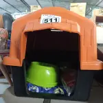 LOTE 511 - 01 CASINHA PARA PET COM COLCHÃO, 01 COMEDOURO, 01 BEBEDOURO E 01 KIT DE BRINQUEDOS. (NOVO) (NO ESTADO) ATENÇÃO! FAZER A VISITAÇÃO ANTES DE ARREMATAR, NÃO SABEMOS SE FUNCIONA. LEILÃO NÃO TEM GARANTIA E NEM DEVOLUÇÃO, SUJEITO A POSSÍVEIS AVARIAS VISÍVEIS/OCULTAS E/OU AUSÊNCIA DE COMPONENTES).