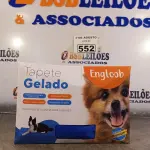 LOTE 552 - 01 TAPETE GELADO PARA REFRESCÂNCIA DE PET 50X65CM. (NOVO) (NO ESTADO) ATENÇÃO! FAZER A VISITAÇÃO ANTES DE ARREMATAR, NÃO SABEMOS SE FUNCIONA. LEILÃO NÃO TEM GARANTIA E NEM DEVOLUÇÃO, SUJEITO A POSSÍVEIS AVARIAS VISÍVEIS/OCULTAS E/OU AUSÊNCIA DE COMPONENTES.