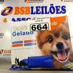 LOTE 664 - 01 TAPETE GELADO PARA REFRESCÂNCIA DE PET 50X90CM. (NOVO) (NO ESTADO) ATENÇÃO! FAZER A VISITAÇÃO ANTES DE ARREMATAR, NÃO SABEMOS SE FUNCIONA. LEILÃO NÃO TEM GARANTIA E NEM DEVOLUÇÃO, SUJEITO A POSSÍVEIS AVARIAS VISÍVEIS/OCULTAS E/OU AUSÊNCIA DE COMPONENTES.
