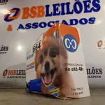 LOTE 664 - 01 TAPETE GELADO PARA REFRESCÂNCIA DE PET 50X90CM. (NOVO) (NO ESTADO) ATENÇÃO! FAZER A VISITAÇÃO ANTES DE ARREMATAR, NÃO SABEMOS SE FUNCIONA. LEILÃO NÃO TEM GARANTIA E NEM DEVOLUÇÃO, SUJEITO A POSSÍVEIS AVARIAS VISÍVEIS/OCULTAS E/OU AUSÊNCIA DE COMPONENTES.