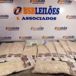 LOTE 480 - 10 MOP PARA PÓ MODELOS DIVERSOS. (NO ESTADO) ATENÇÃO! FAZER A VISITAÇÃO ANTES DE ARREMATAR, NÃO SABEMOS SE FUNCIONA. LEILÃO NÃO TEM GARANTIA E NEM DEVOLUÇÃO, SUJEITO A POSSÍVEIS AVARIAS VISÍVEIS/OCULTAS E/OU AUSÊNCIA DE COMPONENTES).